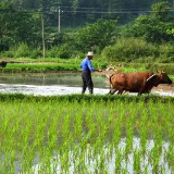 助力春耕生产守护粮食安全 农行娄底分行惠农e贷播撒助农“金融底肥”