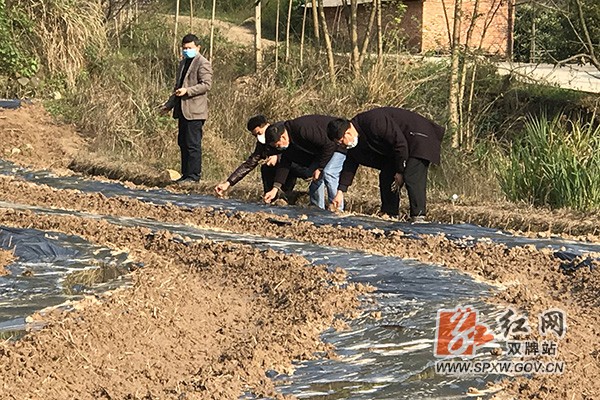 上梧江马家村h.jpg