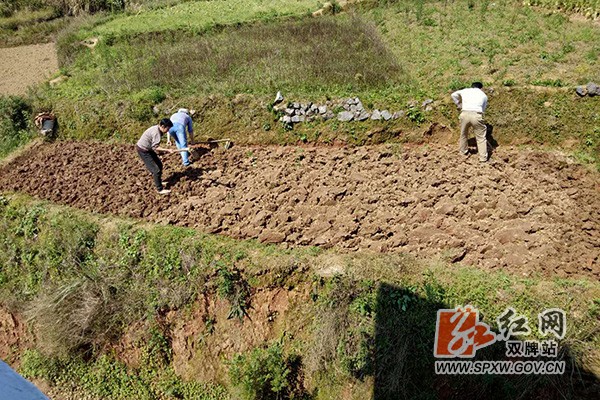 打鼓坪乡：“复活”抛荒地H.jpg