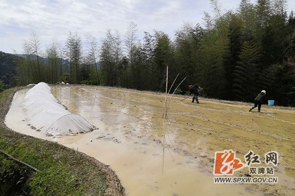 H上梧江瑶族乡多措并举，全面扎实做好耕地抛荒整治工作2.jpg
