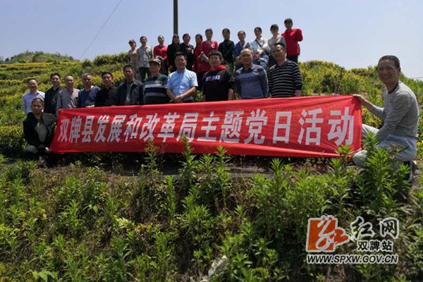 主题党日活动H.jpg