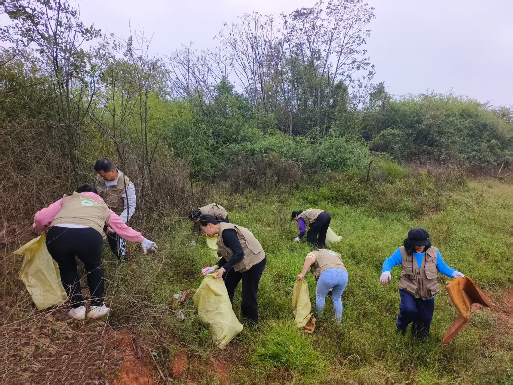 图片9.jpg 图片9.jpg