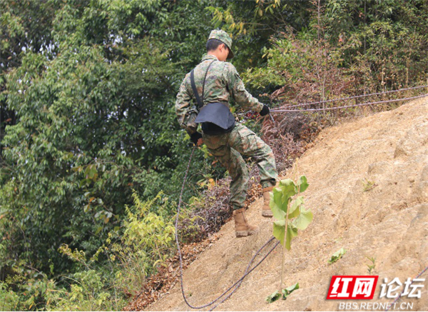 3_副本.png 3_副本.png