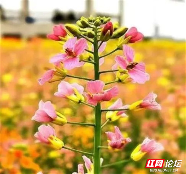 6_副本1.jpg 6_副本1.jpg