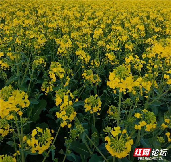 7_副本1.jpg 7_副本1.jpg