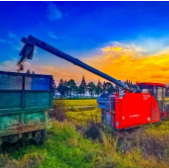 彩色秋收季，农田里的 “丰收彩卷”