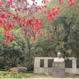 走进周立波故居,触摸文学的乡土温度
