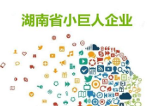 湖南69家企业入选国家第二批 “小巨人”企业