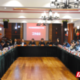 2020怀化旅游营销联盟工作会议举行 审议年度报告谋划2021