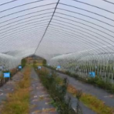 国家农高区“4+1”专项计划联合发布 加速智慧农业发展