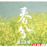 用一首暖歌唤醒春天 原创节气歌曲《春分》长沙首发