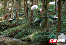 世界睡眠日：云山景区推出“森林疗养区” 游客睡进森林