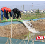 春耕保电丨田间地头 他们和农户一样忙