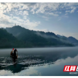有一种江山水意，叫2020年的第一场雾漫小东江