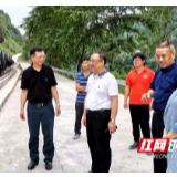 湖南省文联赴泸溪县且己村调研，做好脱贫质量“回头看”