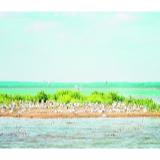 严明生态环境保护责任制度