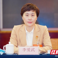 红网专访丨李爱武:推进“三区一中心”建设 GDP瞄准6000亿元
