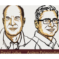 诺贝尔生理学或医学奖揭晓：信使疫苗技术落选 躯体感受研究登顶