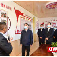 王成：强化使命担当 以高质量党建引领乡村全面振兴