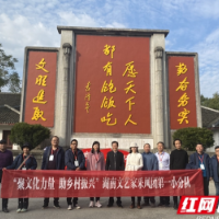 古城里慢慢走 农校里品成果 湖南艺术家走进洪江