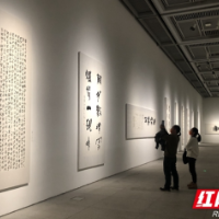 走进一场书法实践探索 “陈松长、朱永灵书法艺术双个展”开幕