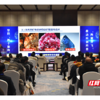 2021湖南科技论坛开幕 大咖齐聚闪烁科创智慧