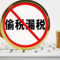 国家税务总局：对各种偷逃税行为一律严惩不贷