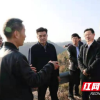 农业专家团队走进怀化把脉乡村振兴