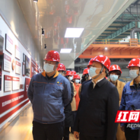 湖南省新时代产业工人队伍建设改革现场推进会召开