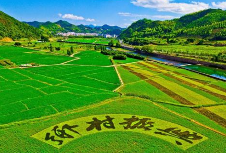 两会湘声丨脚沾“泥土”心入基层 住湘全国政协委员共话乡村振兴