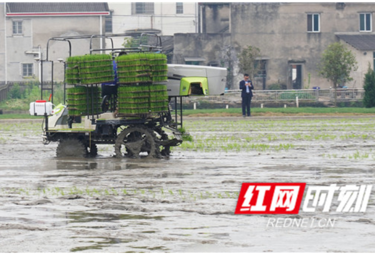 湖南农业新鲜事丨田间农机无人驾驶，农民家中手机种粮