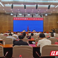 全省政务管理服务工作电视电话会议在长沙召开