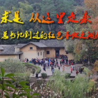 人民日报丨闯出新路子 展现新作为 彰显新担当