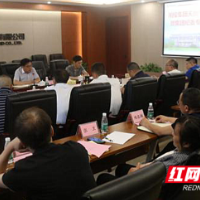 湘投集团纪委组织召开天然气板块集体廉政谈话暨专项监督检查反馈会