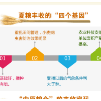 粮丰农稳天下安 “中原粮仓”满当当