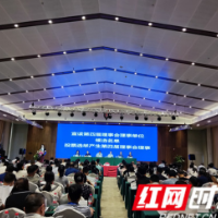 湖南休闲农业：经营主体达1.7万家，年营业收入超450亿元