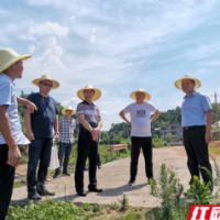 湖南工业大学深入茶陵县湖口镇梅林村调研乡村振兴工作