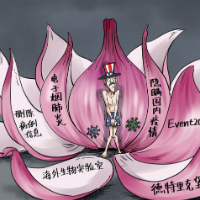 【国际漫评】“剥洋葱”