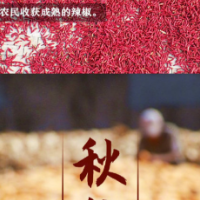 二十四节气农事图鉴