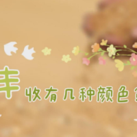 中国农民丰收节丨中国色，谁不爱？