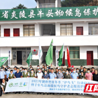 2021湖南秋冬季“护鸟飞”行动在炎陵牛头坳候鸟保护站正式启动