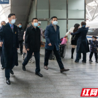 陈飞：全力做好春运疫情防控和运输服务保障