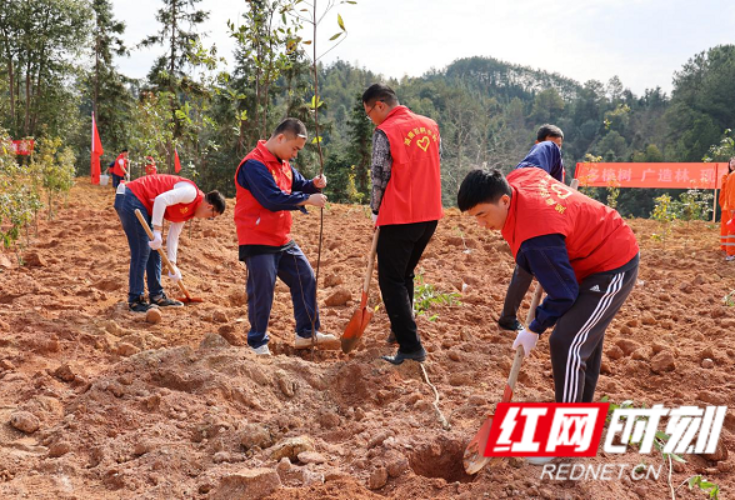 国企风采 | 湖南百舸水利开展义务植树活动