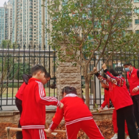 开福区金鹰小学开展义务植树活动