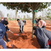 张庆伟参加长沙义务植树活动：坚持不懈推进造林绿化事业 加快建设生态强省美丽湖南