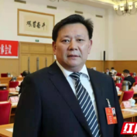 两会湘声丨鄢福初：文艺助力 突破文旅融合发展“瓶颈”