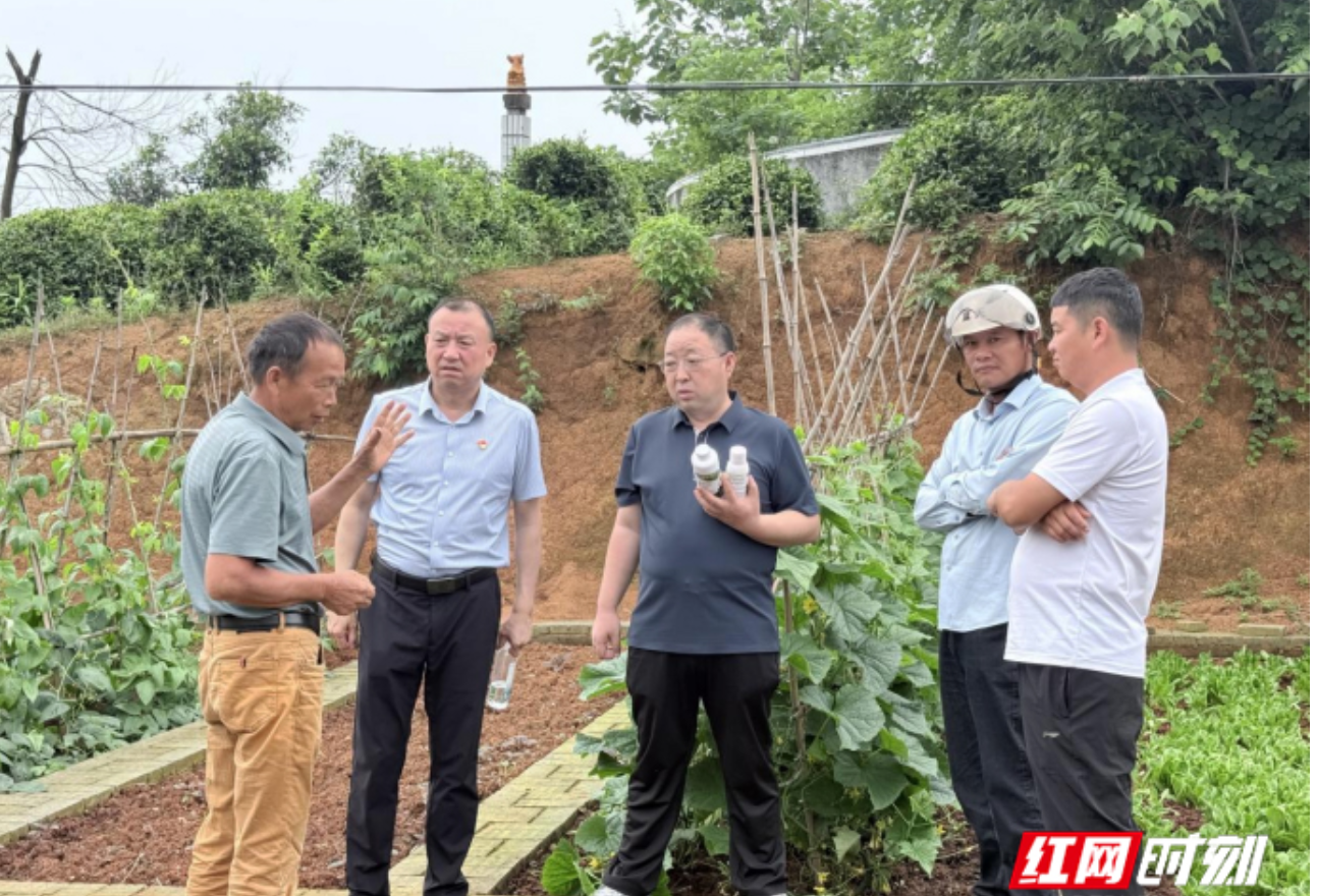 湖南省富硒生物产业协会党支部把技术服务送进田间地头