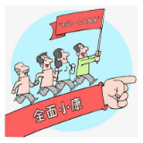 娄底双峰烟草:温情助力滞销乌鸡“秒变现”