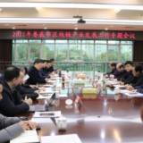 娄底市召开2021年区块链产业发展工作专题会议