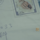 张定宇的爱情故事：曾为妻子写下100多封情书